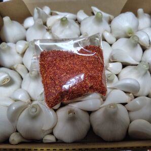 おまけ付 茨城県産 農薬不使用 MとSサイズのニンニク 箱別1キロ超 ヤマト発送 ~③