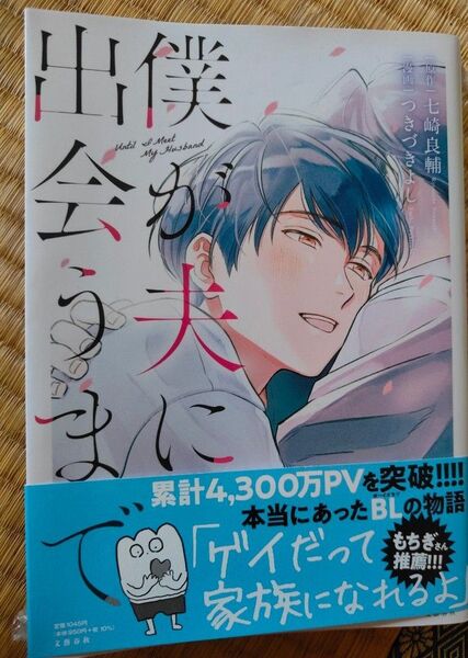 僕が夫に出会うまで 七崎良輔 つきずきよし