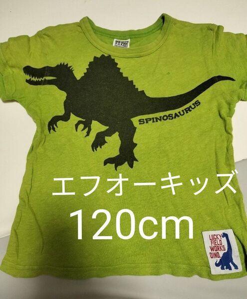 F.O.KIDS エフオーキッズ 恐竜 Tシャツ 120cm グリーン