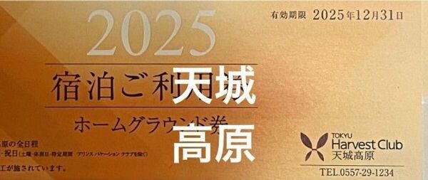 2025 天城高原 東急ハーヴェストクラブ ホームグラウンド券