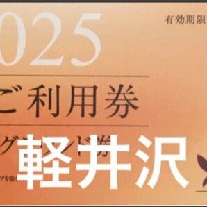 2025 軽井沢 東急ハーヴェストクラブ ホームグラウンド券