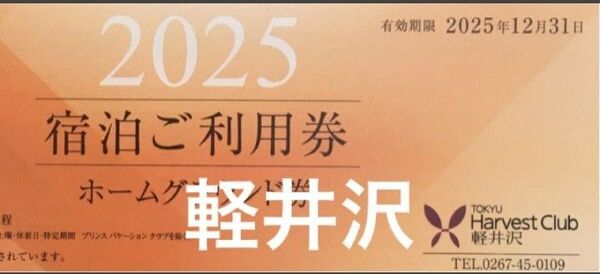 2025 軽井沢 東急ハーヴェストクラブ ホームグラウンド券