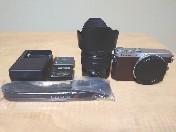 Panasonic LUMIX DMC-GM1S(少し難有)