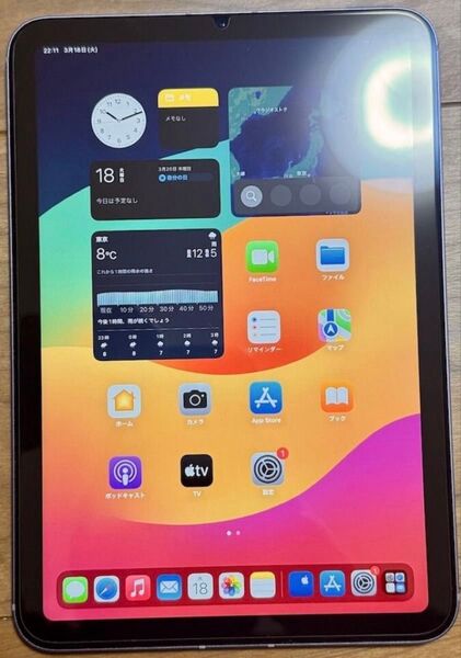 極美品【電池容量100%】ipad mini(第6世代) WiFi cellular SIMフリー 64GB
