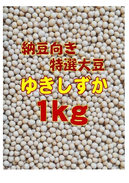 令和6年産 納豆用特選小粒大豆ゆきしずか 1kg 北海道十勝産
