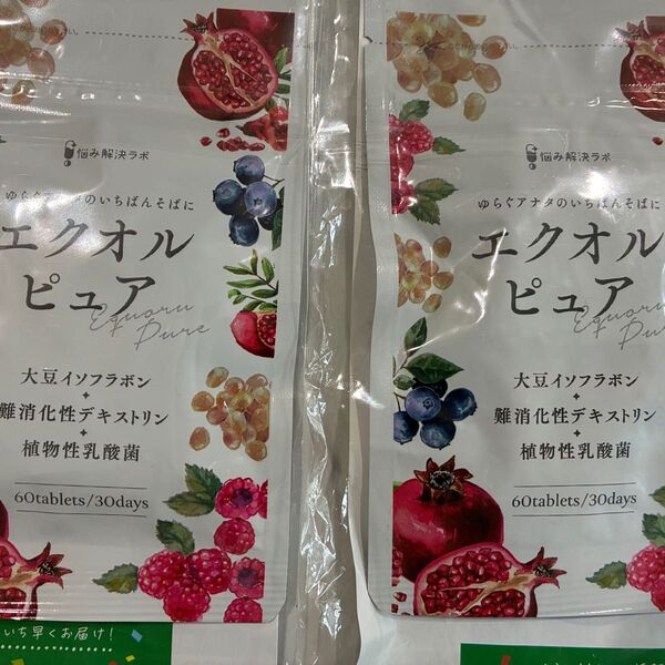 エクオルピュア イソフラボン 乳酸菌 国内製造 ビタミンB12 大豆 2個セット