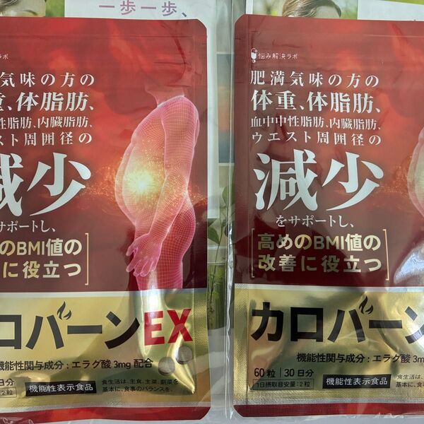 2袋セット カロバーンEX 30日分 肥満気味 体脂肪 血中中性脂肪 内臓脂肪