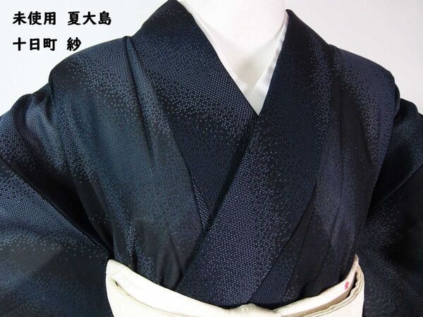 未使用 夏大島紬 十日町 モダン斜め文様 着物 正絹 美品 黒×紺色系