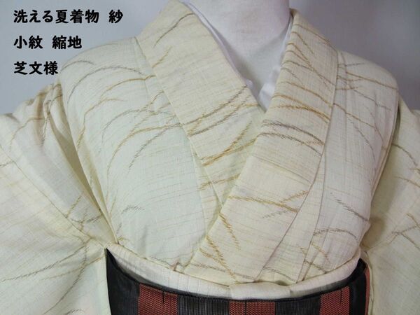 洗える夏着物 紗 小紋 縮み地 芝文様 極薄いクリーム色