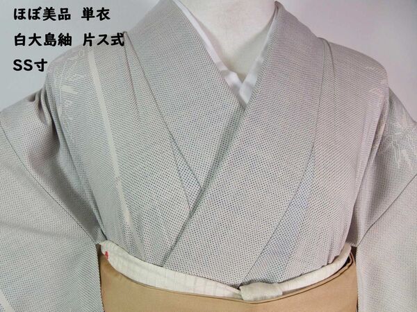 ほぼ美品 単衣 白大島紬 片ス式 7マルキ 笹竹文様 着物 正絹 白地に薄いグレー SS寸
