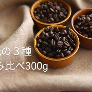 焙煎珈琲豆 3種飲み比べ 各100g 注文後焙煎 合計300g