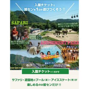 姫路セントラルパーク 入園チケット 3枚(3人分)