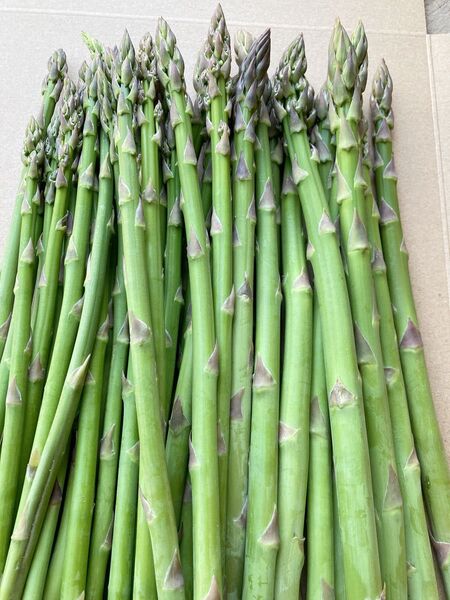 北海道産アスパラガス500g
