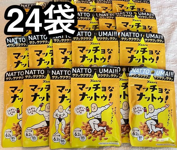 カンロ マッチョなナットゥ! 24袋