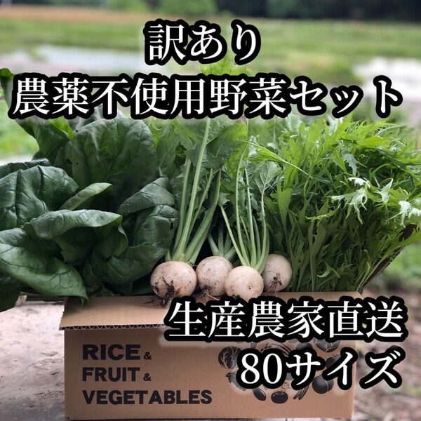 訳あり無農薬野菜詰め合わせ 80サイズ
