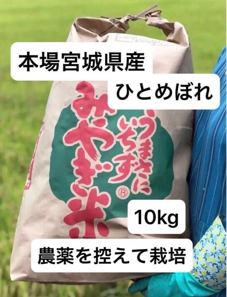 低農薬 宮城県産 ひとめぼれ 玄米10kg
