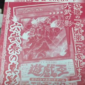 遊戯王OCG 六武衆の真影