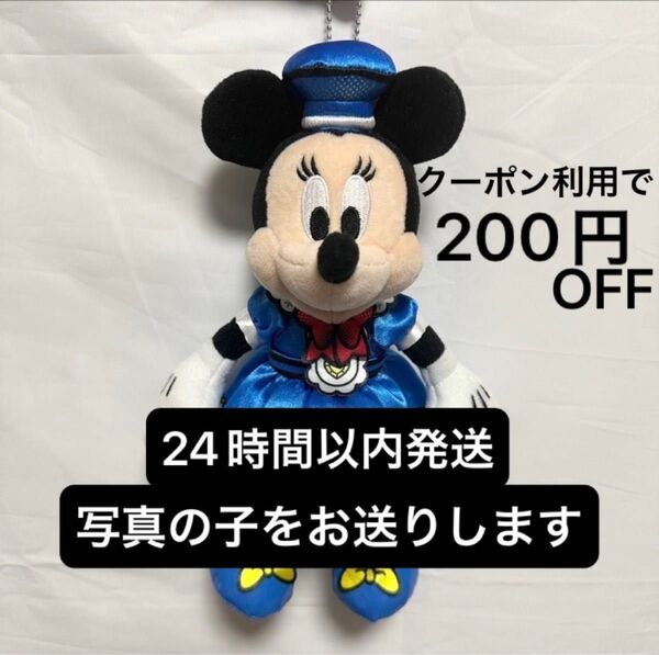【タグ付新品】ディズニー・パルパルーザ ドナルドのクワッキー・ダック!ダック!ダックシティ!ぬいぐるみバッジ(ミニー)