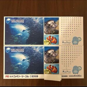 新江ノ島水族館 チケット 2枚 招待券