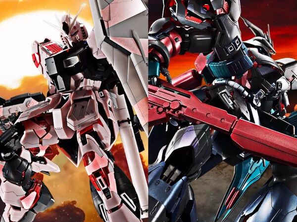 海外限定ガンプラ MG νガンダム&サザビー クロスコントラストカラー