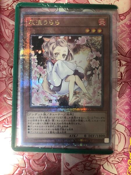 遊戯王 灰流うらら クオシク 25th 絵違い 美品
