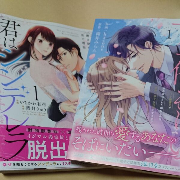 君はシンデレラ 1/一生、俺のそばにいて 1