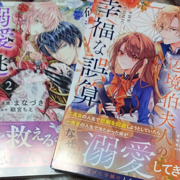 やり直し辺境伯夫人の幸福な誤算 1/破滅の聖女は運命の夫の溺愛から逃れたい 2