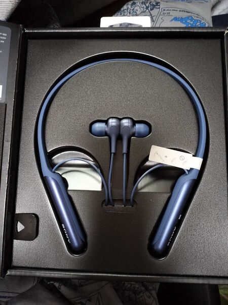 不動品 SONY ワイヤレスノイズキャンセリングステレオヘッドセット WI-C600N(L)ブルー ジャンク品 不動品