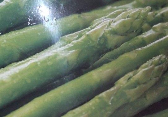 アスパラガス【B バイトル芽だし】画像の苗1度植えると10年位収穫できる