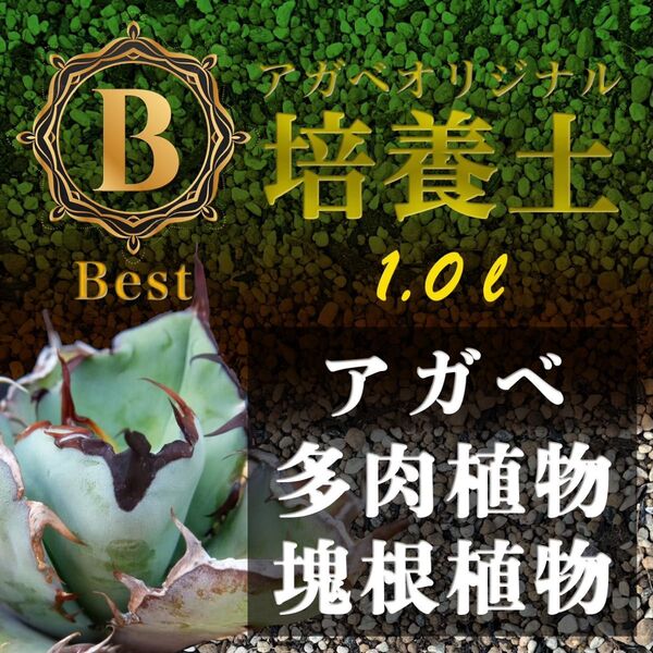 アガベ土☆オリジナル培養土Best1㍑【アガベ・各種サボテン・多肉植物の土】