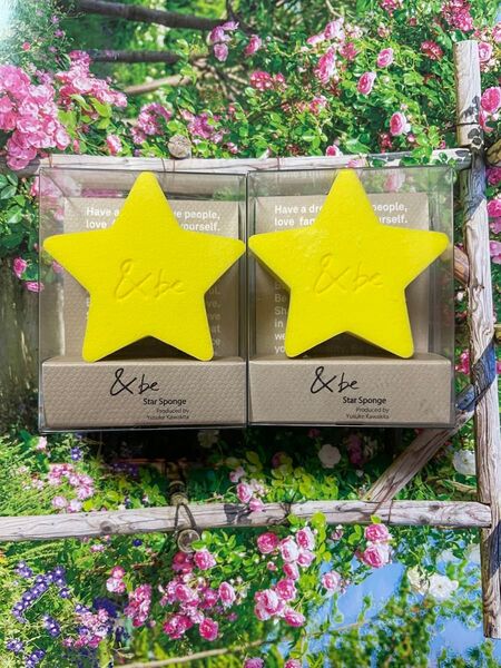 限定品 アンドビー スタースポンジ