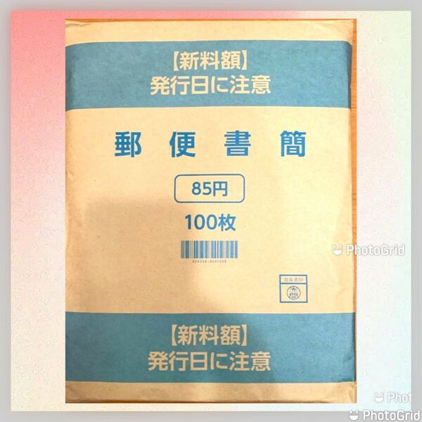 ミニレター 郵便書簡 100枚 新品 未開封