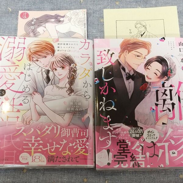 カラダからはじめる溺愛結婚/離縁は致しかねます!