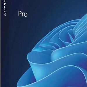 本日発送 Windows11 Pro プロダクトキー&USB インストール windows 11 pro