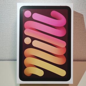 iPad mini (A17 Pro) Wi-Fi 128GB 第7世代 2024年モデル