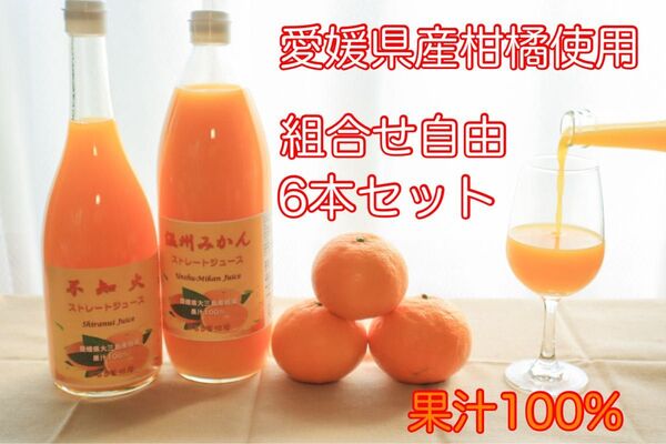 【組合せ自由】愛媛県大三島産 柑橘ストレートジュース100% 6本セット
