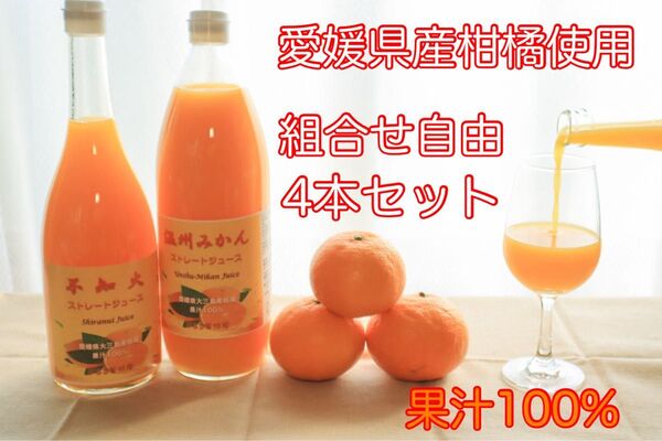 【組合せ自由】愛媛県大三島産 柑橘ストレートジュース100% 4本セット