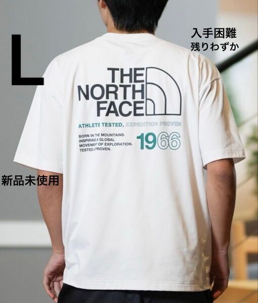 ザ ノースフェイス Tシャツ 半袖 THE NORTH FACE メンズ ロゴワイドティー Tee 新作 吸汗速乾 半袖 オシャレ