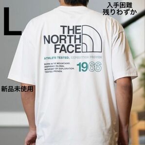 ザ ノースフェイス Tシャツ 半袖 THE NORTH FACE メンズ ロゴワイドティー Tee 新作 吸汗速乾 半袖 オシャレ