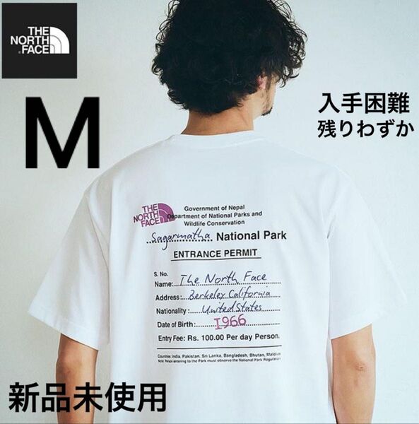 THE NORTH FACE BACK GRAPHIC PRINT 新作 ノースフェイス Tシャツ グラフィック バックプリント
