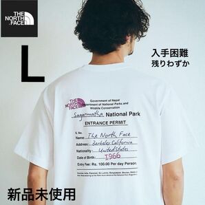 THE NORTH FACE BACK GRAPHIC PRINT 新作 ノースフェイス Tシャツ グラフィック バックプリント