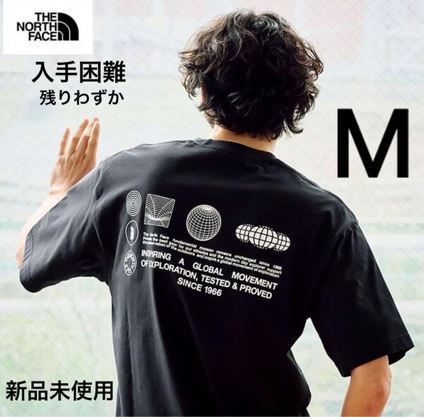 ザ ノースフェイス Tシャツ 半袖 THE NORTH FACE メンズ バックプリント Tee 新作 吸汗速乾 半袖 オシャレ