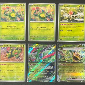 ポケカ 草ポケモン 汎用カード まとめ売り