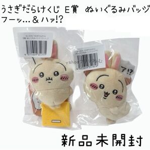 ちいかわ うさぎだらけくじ E賞 ぬいぐるみバッジ フーッ... ハァ!?