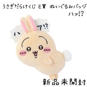 【新品未開封】 うさぎだらけくじ E賞 ぬいぐるみバッジ ハァ!?