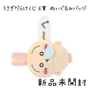 【新品未開封】 うさぎだらけくじ E賞 ぬいぐるみバッジ ぐ〜