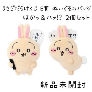 【新品未開封】 うさぎだらけくじ E賞 ぬいぐるみバッジ ほかッ&ハァ!? 2個セット