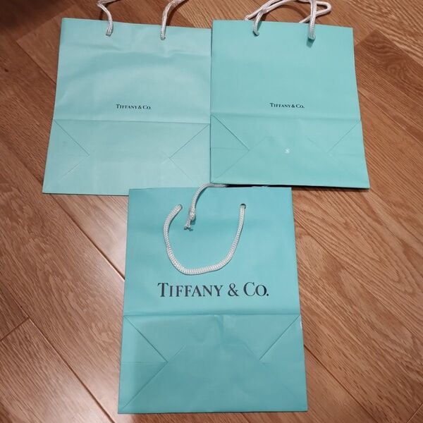 Tiffany ショッパー ティファニー TIFFANY ショッパー 紙袋 ブランド紙袋 Co Tiffany ティファニー
