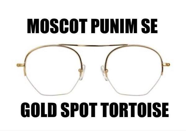 MOSCOT PUNIM SE (BLUE LENS)正規品 美品 サングラス チタンパッド