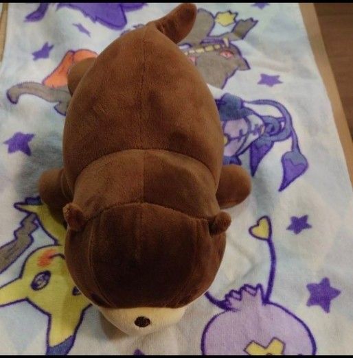 カワウソ ぬいぐるみくじ3等 アクアワールド大洗水族館